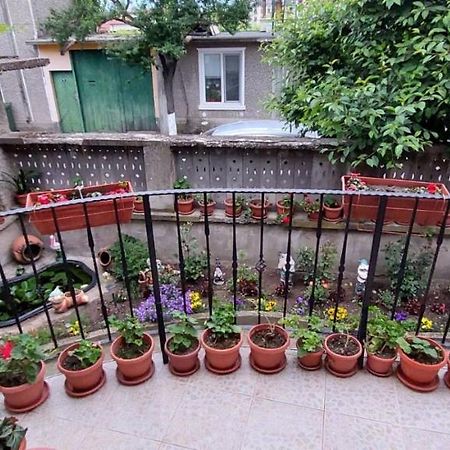 Guest House Kukera Paweł Banja Zewnętrze zdjęcie