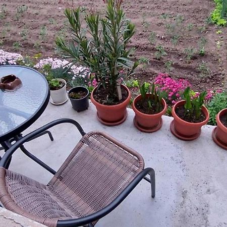 Guest House Kukera Paweł Banja Zewnętrze zdjęcie