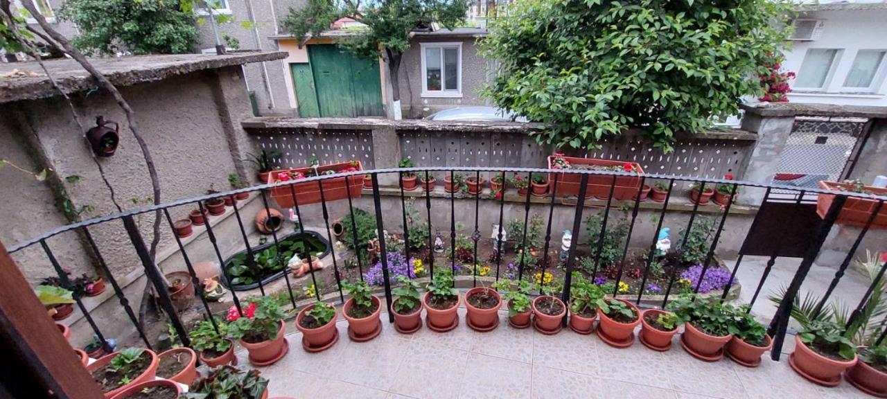 Guest House Kukera Paweł Banja Zewnętrze zdjęcie