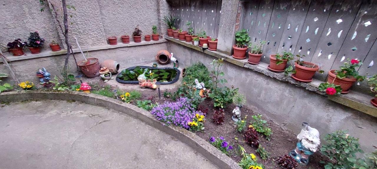 Guest House Kukera Paweł Banja Zewnętrze zdjęcie